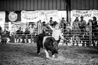 Hogs