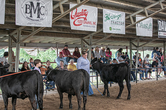 GX4A6487