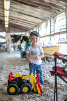 Around the Fair