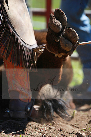 e IMG_5602