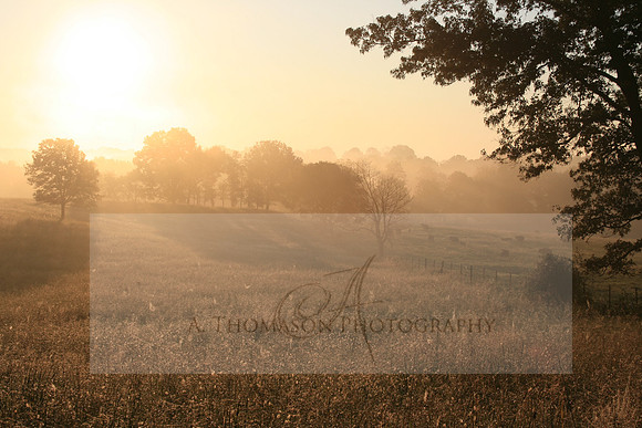 pics 027