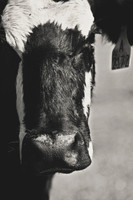 e3 IMG_6634